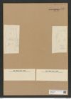 Diatomeae indet. Zeichnungen Sammlung Grunow Nr. 7731 (NHMW-BOT-W0376947)